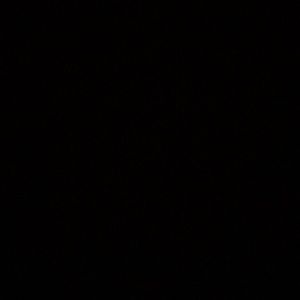 Meet your Posher, Ma